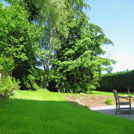 Holiday home Holiday Home With Terrace In Petit-Thier Vielsalm